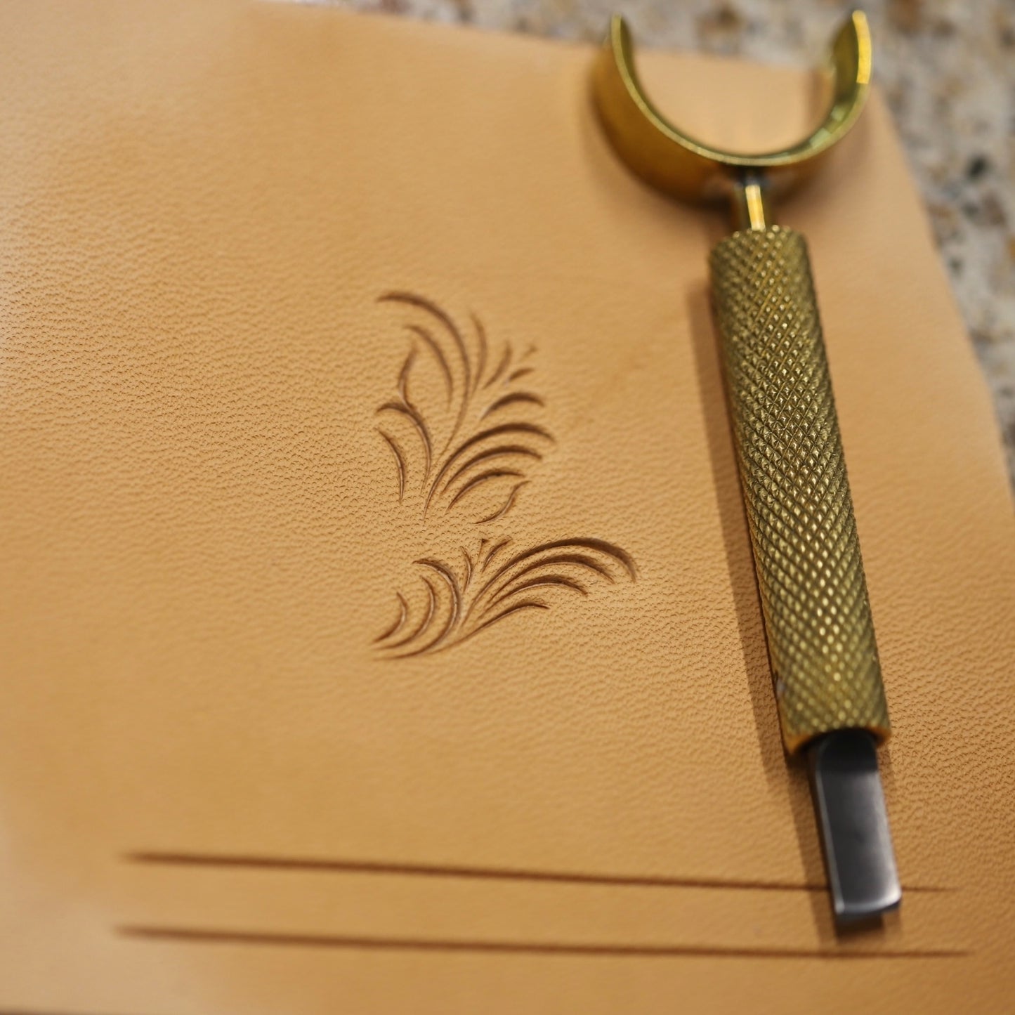 Aspiring Leather Worker Kit