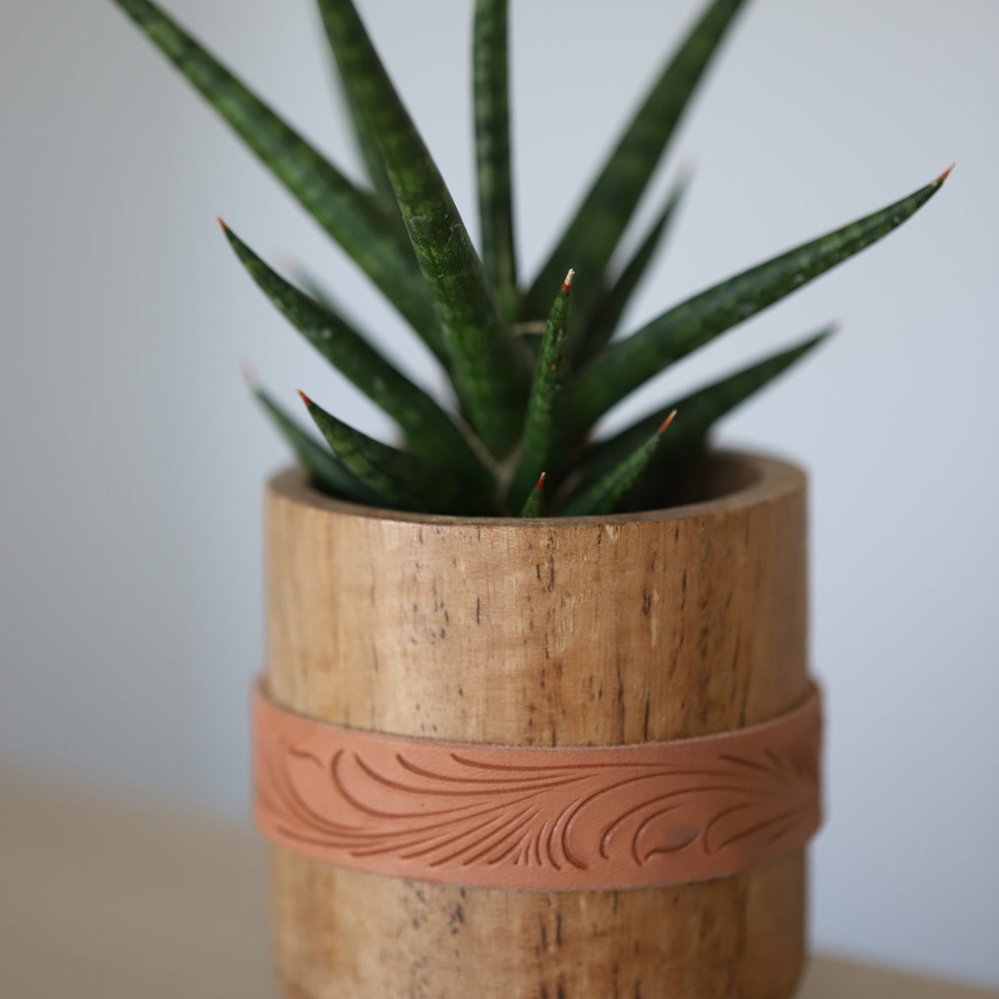 Wooden Succulent Pot with Leather Carved Wrap
